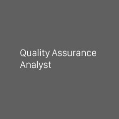 Quality Assurance Analyst