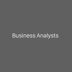Business Analysts